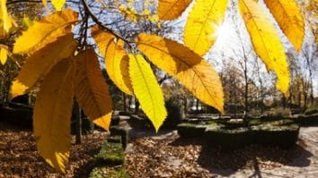 Știri de azi | Meteorologii anunţă temperaturi peste cele obişnuite în această perioadă, până aproape de sfârşitul lunii noiembrie - Știri de azi | 