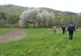 Știri de azi | UPDATE – Harghita: Doi tineri au fost găsiţi morţi într-o maşină / Lângă ei a fost descoperit un pistol de asomare / Băiatul avea o rană la tâmplă, iar fata una în piept / Fuseseră daţi dispăruţi / Dosar penal pentru violenţă în familie - Știri de azi - Page 37 | 