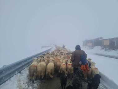 Știri de azi | Drumarii au acţionat pe Transalpina pentru a face culoar de trecere pentru crescătorii de animale blocaţi pe munte / Intervenţia, autorizată în urma unei hotărâri a CJSU Gorj – VIDEO - Știri de azi | 