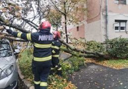Știri de azi | Intervenţii ale pompierilor în Satu Mare, din cauza vântului – Copaci şi acoperişuri doborâte / Lift exterior utilizat în lucrări de construcţii, în pericol de cădere la un bloc cu 10 etaje - Știri de azi - Page 61 | 