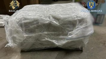 Știri de azi | O femeie şi un bărbat care ar fi introdus în ţară 14 kilograme de canabis, reţinuţi / Drogul era adus în ţară din Spania, printr-o firmă de curierat / Cei doi, prinşi în flagrant - Știri de azi | 