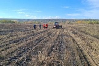 whatsapp-image-2025-10-31-at-13-01-32jpg - Știri de azi Știri de azi | Galaţi – Cadavrul carbonizat al unei femei a fost găsit vineri într-un lan de porumb cuprins de flăcări - Știri de azi |