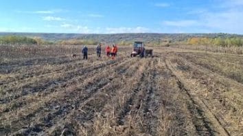 Știri de azi | Galaţi – Cadavrul carbonizat al unei femei a fost găsit vineri într-un lan de porumb cuprins de flăcări - Știri de azi | 