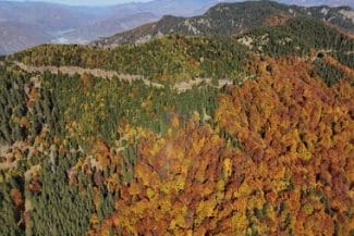 434394356-835199078637386-8328893423161136092-njpg - Știri de azi Știri de azi | Preşedintele a atacat la Curtea Constituţională legea care modifică regimul ariilor naturale protejate: Independenţa energetică a ţării noastre este un obiectiv deosebit de important, însă acesta trebuie realizat într-o manieră sustenabilă - Știri de azi |