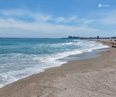 Știri de azi | Diana Buzoianu: Am văzut, în ultimele luni, un asalt legislativ asupra legii plajelor. Au fost depuse în Parlamentul României amendamente exprese pentru ca imobile ridicate ilegal să nu mai fie desfiinţate - Știri de azi | 