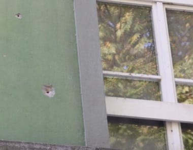 Știri de azi | Un copil de 11 ani, rănit la Bruxelles, în urma unor focuri de armă în apropierea locuinţei. Doi suspecţi care au fugit cu trotineta de la faţa locului, căutaţi - Știri de azi | 