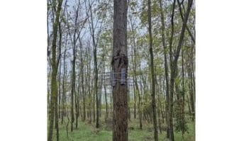 Știri de azi | Constanţa: Un bărbat de 58 de ani este cercetat pentru rănirea intenţionată a unei pisici / În gospodăria sa poliţiştii au găsit mai multe obiecte folosite pentru rănirea animalelor – VIDEO - Știri de azi | 