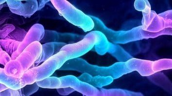 Știri de azi | Cercetătorii au descoperit un antibiotic de 100 de ori mai eficient decât cele existente, capabil să combată superbacteriile periculoase - Știri de azi | 