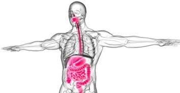 Știri de azi | Misterul bolii Crohn, elucidat? - Știri de azi | 