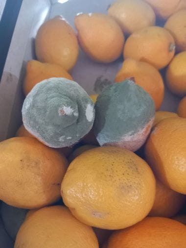 Știri de azi | Peste 450 de operatori economici din ţară, verificaţi în această săptămână de ANPC/ Amenzile date depăşesc 1,4 milioane de lei/ Au fost găsite produse alimentare expirate şi fructe mucegăite - Știri de azi | 