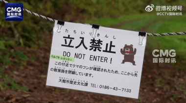 Știri de azi | Atacuri mortale ale urşilor în Japonia – Trupe militare trimise în nordul ţării / Peste o sută de atacuri din luna aprilie / Record de victime decedate - Știri de azi | 