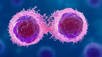 Știri de azi | Oamenii de ştiinţă „au eliminat complet” leucemia într-un model preclinic - Știri de azi | 