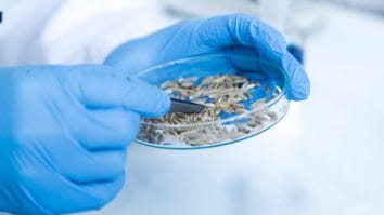 Știri de azi | Prof. dr. Maria Puiu: Ar fi nevoie şi de o legislaţie care să delimiteze foarte clar care este specialistul care poate să recomande un anumit test genetic/ Bioinformaticianul trebuie recunoscut şi trebuie inclus în echipa medicală - Știri de azi | 