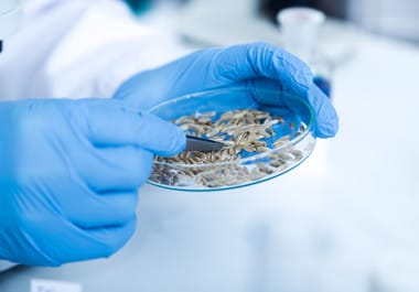 Știri de azi | Prof. dr. Maria Puiu: Ar fi nevoie şi de o legislaţie care să delimiteze foarte clar care este specialistul care poate să recomande un anumit test genetic/ Bioinformaticianul trebuie recunoscut şi trebuie inclus în echipa medicală - Știri de azi | 