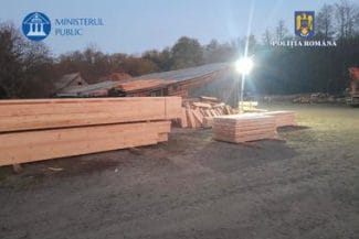 whatsapp-image-2024-11-06-at-07-47-10jpg - Știri de azi Știri de azi | Operaţiunea Jupiter 4 – Mai multe dosare care vizează tăieri ilegale de arbori şi transport de lemne fără documente, intrumentate / Mii de arbori tăiaţi ilegal din Parcul Natural Munţii Maramureşului / Prejudiciu de sute de mii de lei - Știri de azi |