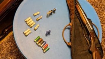 Știri de azi | UPDATE – Operaţiunea Jupiter 4 – Mai multe dosare care vizează tăieri ilegale de arbori şi transport de lemne fără documente, intrumentate / Mii de arbori tăiaţi ilegal din Parcul Natural Munţii Maramureşului / Prejudiciu de sute de mii de lei - Știri de azi | 